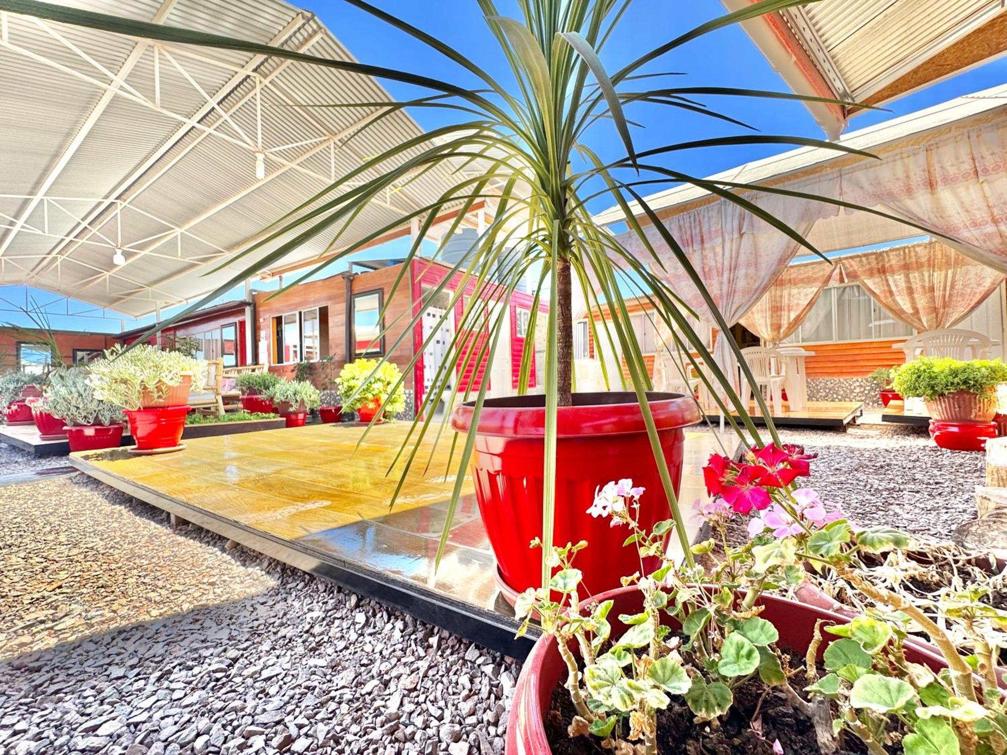 Casa Tiny Lägenhet San Pedro de Atacama Exteriör bild
